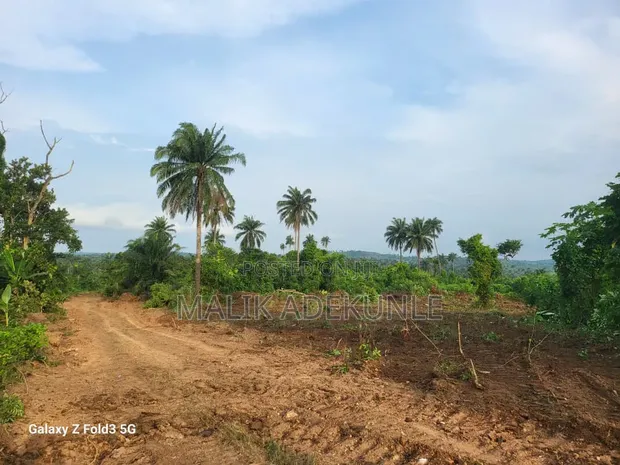 30 Acres Land for Sale, Akaka, Ogun State (Behind GIA) - 1
