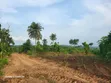 30 Acres Land for Sale, Akaka, Ogun State (Behind GIA) - 1