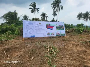 30 Acres Land for Sale, Akaka, Ogun State (Behind GIA)