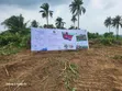 30 Acres Land for Sale, Akaka, Ogun State (Behind GIA) - 2