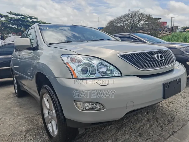 Lexus RX 330 AWD 2006 Gray - 1