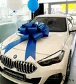 Car Bow Ribbon for Presents - 2