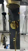 Luxury Gold Conduit Shower Set - 2