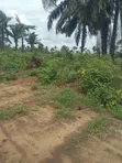 Anchor Estate Phase IV Land for Sale, Port Harcourt - 1