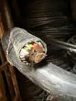 150mm 4-Core Armoured Cable - 1