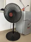 Functional Ox Floor Fan - 1