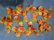 Pure Range Flowers - 3