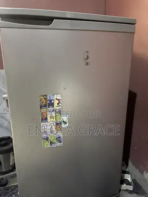 Neatly Used LG Mini Freezer