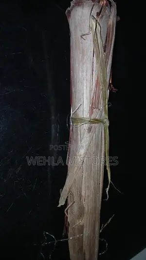 Sorghum Bicolor Sheath/Ganyen Karandasi na Halitta
