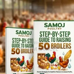 Jagoran Mataki-Mataki: Kiwon 50 Broilers zuwa Disamba