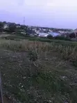 3200 SQM Flat Land for Sale in Karu FHA - 4