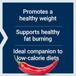 Thermo Weight Control X60 | Ingantaccen Rage Kiba - 2