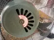 Ox Fan Mai Tsaye 26 Inches - 5