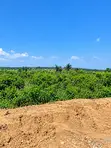 30 Hectares Land Facing Coastal Road, Lekki - 2