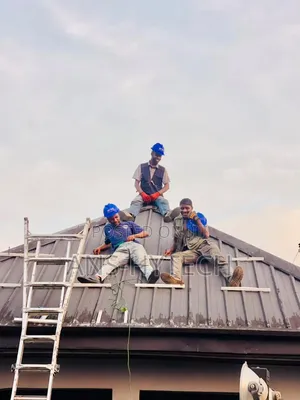 Professional Solar Panel Installation Services