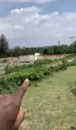 1.5 Hectares Commercial/Industrial Land for Sale in Idu, Abuja - 4