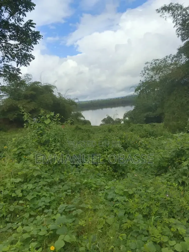 2.6ha Prime Waterfront Land for Investment in Calabar - 1
