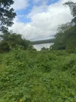 2.6ha Prime Waterfront Land for Investment in Calabar - 1