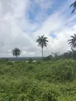2.6ha Prime Waterfront Land for Investment in Calabar - 2