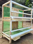 Wooden Chicken Cage Design - Brand New - 4