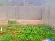 Plot 1.5 Mai Shinge da Get na Siyarwa a Agbama, Umuahia - 1
