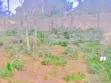 Plot 1.5 Mai Shinge da Get na Siyarwa a Agbama, Umuahia - 2
