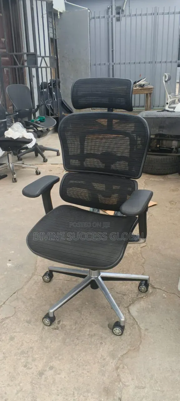 Brand New Ergohuman Ergonomic Office Chair with Headrest - 1