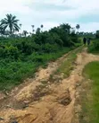 Buy and Build Land for Sale in Atali, Obiakpor, Portharcourt - 3