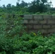 Buy and Build Land for Sale in Atali, Obiakpor, Portharcourt - 5