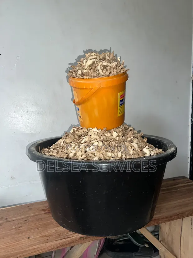 Dried Split Ginger (1.6kg) - 1