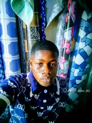 Housekeeping & Cleaning CV - Victor