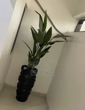 Fiberglass Planter - Black and White Wavy