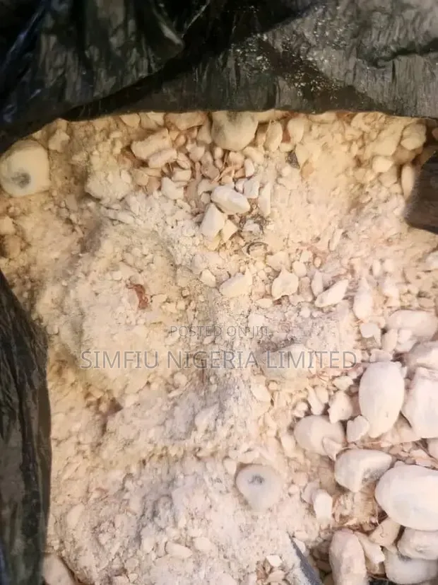 Baobab Powder (with Seed) - 2000 Per Kg - 1