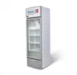 Scanfrost 380L Cooler Na Shaye-Shaye | SFUC380XG - 2