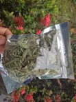 Stevia Leaves - Natural Sweetener - 2