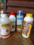 Insecticide 1 Liter - 1