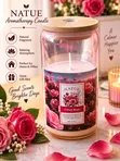 Natural Scented Aromatherapy Candles - 3
