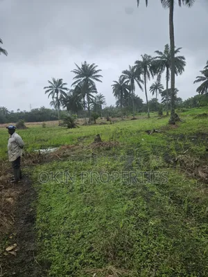 3 Acres Swamped Farmland for Sale near Osogbo