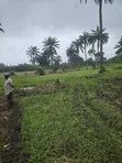 3 Acres Swamped Farmland for Sale near Osogbo - 3