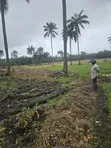 3 Acres Swamped Farmland for Sale near Osogbo - 4