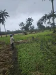 3 Acres Swamped Farmland for Sale near Osogbo - 5