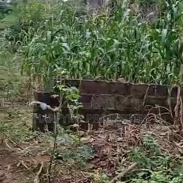 Filin Zama na Farko a Katampe District, Abuja - 1