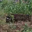 Filin Zama na Farko a Katampe District, Abuja - 1