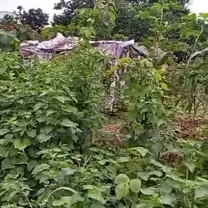 Prime Residential Land for Sale in Katampe District, Abuja