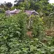 Filin Zama na Farko a Katampe District, Abuja - 2