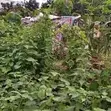 Filin Zama na Farko a Katampe District, Abuja - 3