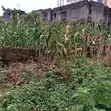 Filin Zama na Farko a Katampe District, Abuja - 4