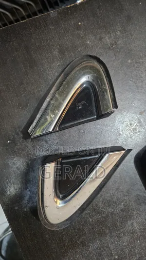 Lexus RX 350 Mirror Pad (2017-2022)