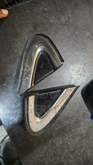 Lexus RX 350 Mirror Pad (2017-2022)