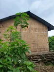 5-Bedroom House for Sale in Moses Oyeadab By, Aba - 2